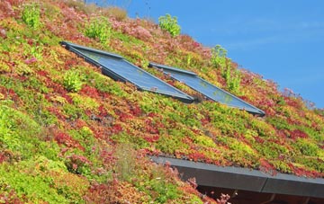 Lamberden living roof systems