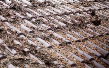 Lamberden roof cleaning companies