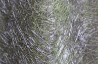 Lamberden fibreglass roof work