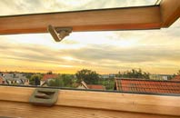 rated Lamberden roof window companies